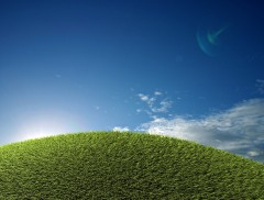 stockvault-green-field98238.jpg