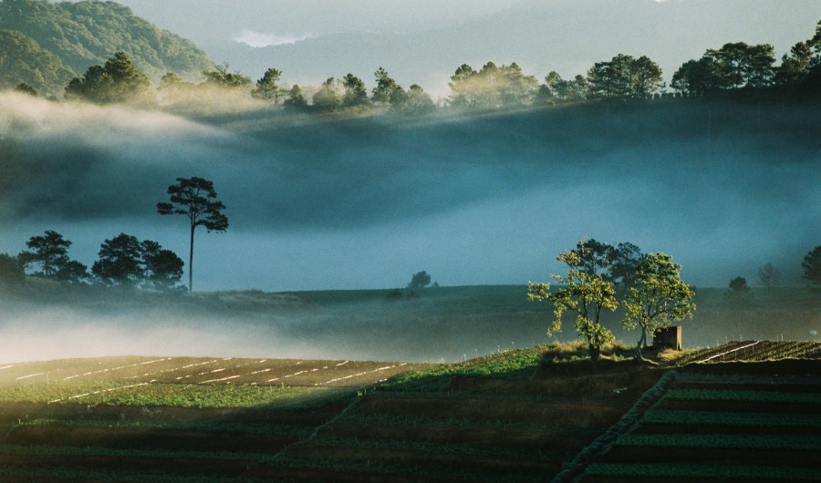 paysage,nature,terre